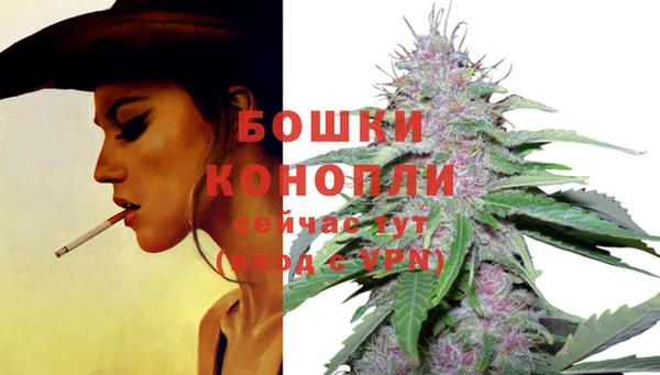 альфа пвп Горняк