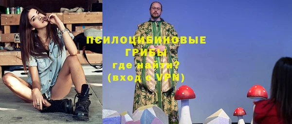 твердый Горнозаводск