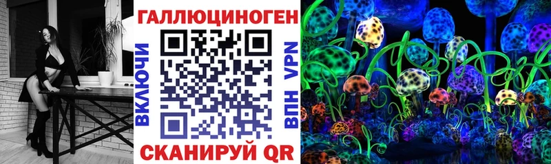 Купить  Азов  Псилоцибиновые грибы Psilocybe 
